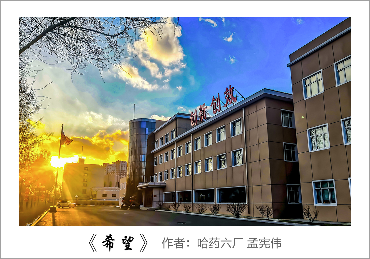 【迎國慶 展風采】我眼中的哈藥&mdash;&mdash;職工攝影大賽作品展示！